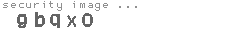 security code